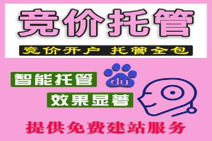 科技公司如何利用SEM服务提升产品曝光度